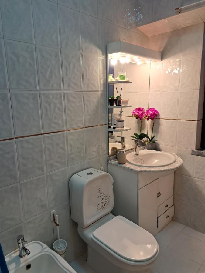 Beja Garden Apartamento Com Terraco Privado Eksteriør billede